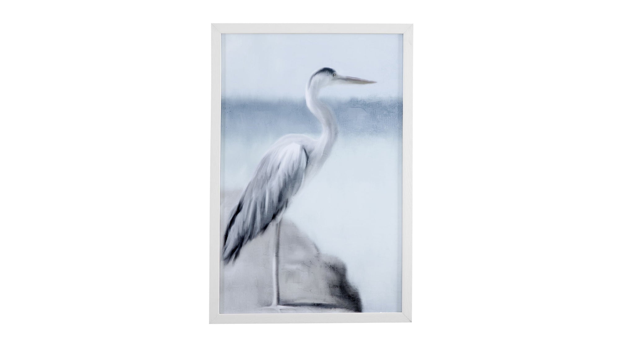Marine Life - Gray