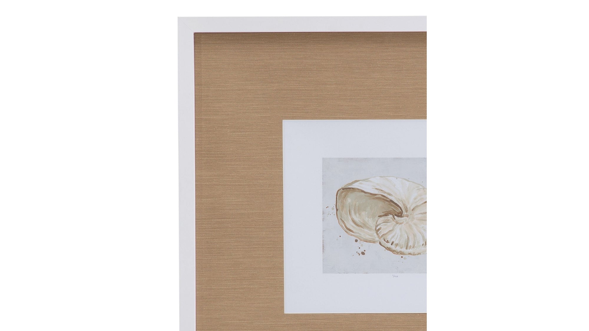Neutral Shell Fresco I Framed Print - Light Brown / White