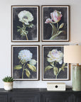 Florals On Black - Framed Prints (Set of 4) - Black