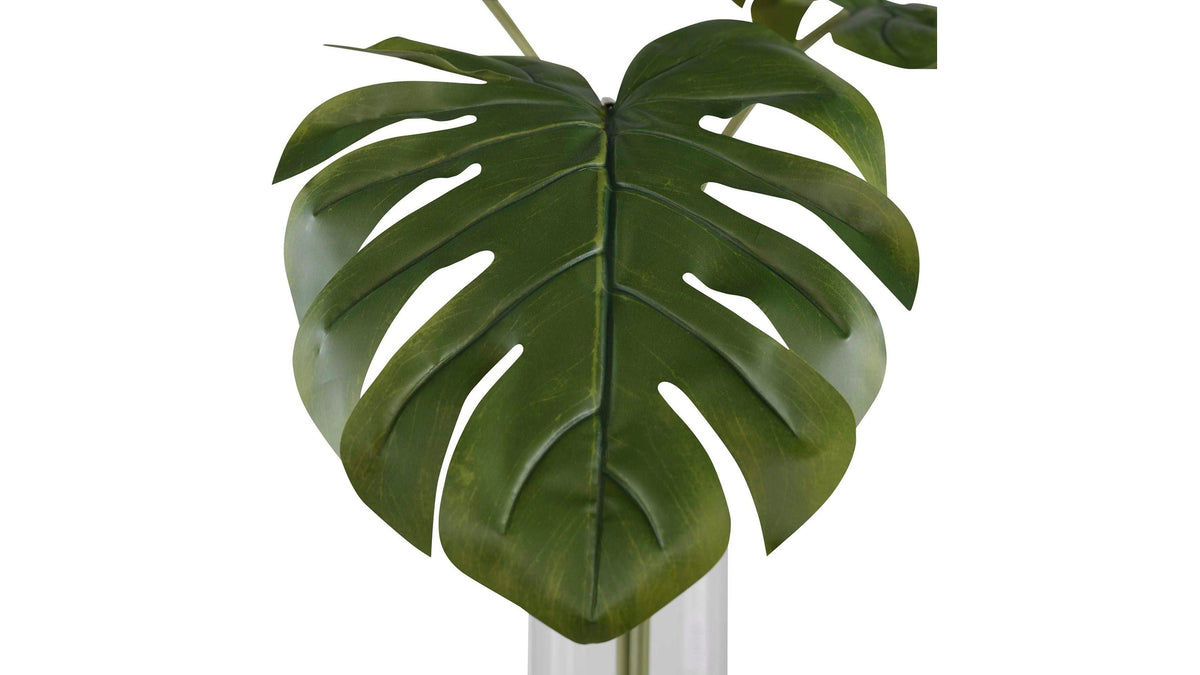 Ibero - Split Leaf Palm - Green