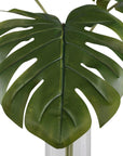 Ibero - Split Leaf Palm - Green