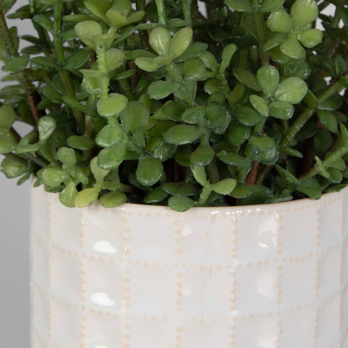 Edgewood - Greenery (Set of 2) - Silver