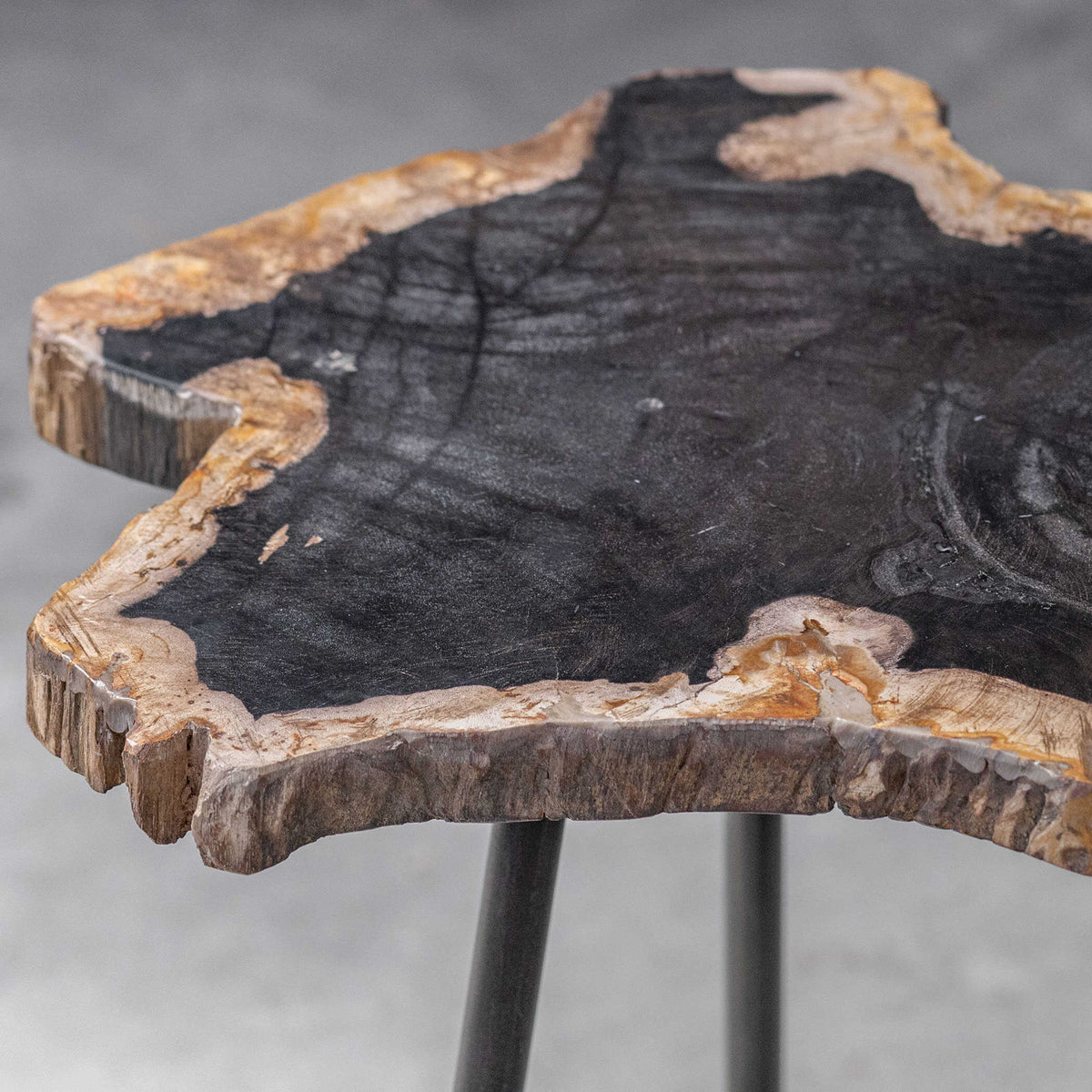 Mircea - Petrified Wood Accent Table - Black &amp; Light Brown