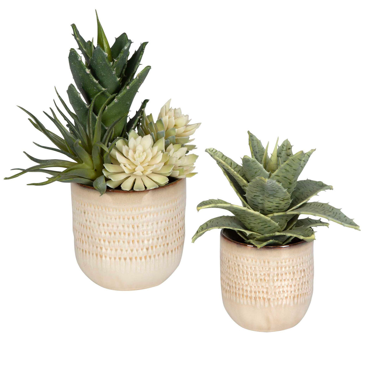 Seaside Succulents Set of 2 - Silver
