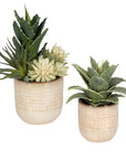 Seaside Succulents Set of 2 - Silver