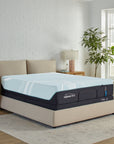 Tempur-Adapt - LuxeAdapt Soft Mattress