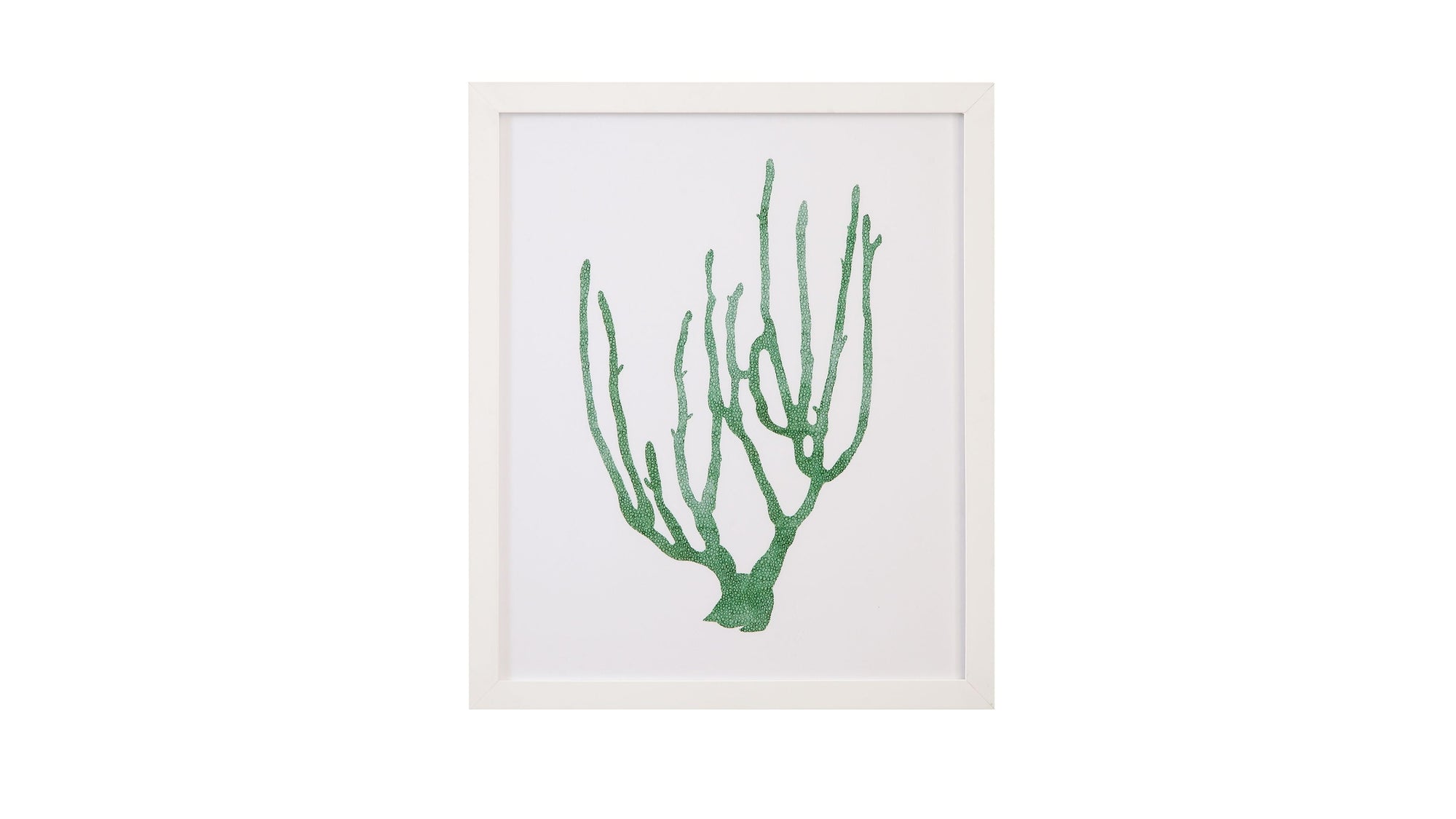 Coral Souvenirs II Framed Print - Green