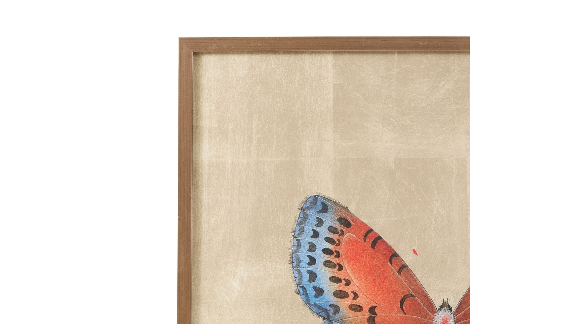 Papilio Luxe Aestas Framed Print - Orange / Blue / Tan