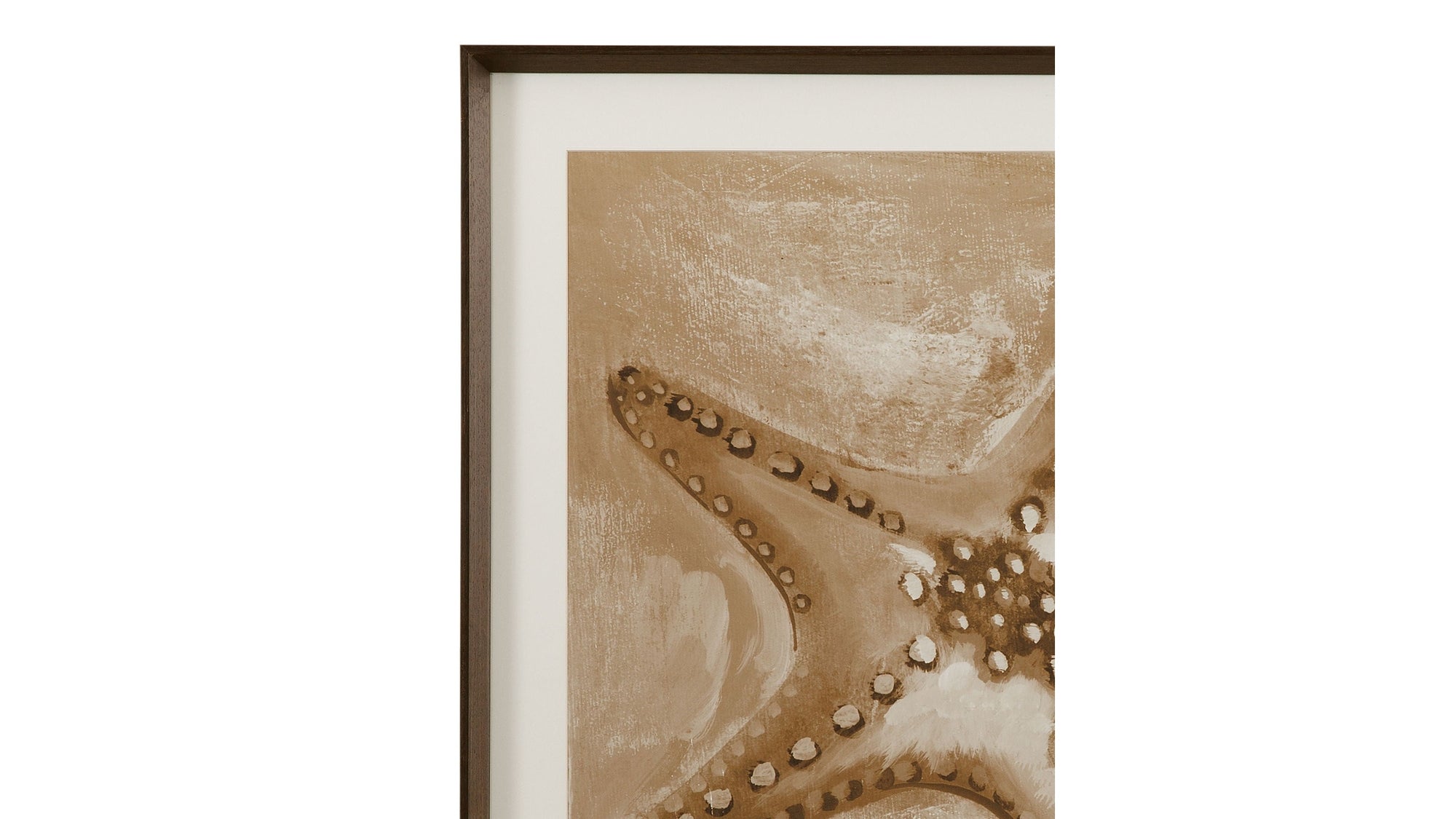 Neutral Starfish Framed Print - Light Brown