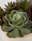 Mesa Succulent Accent - Silver