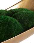 Venice - Moss Centerpiece - Gold