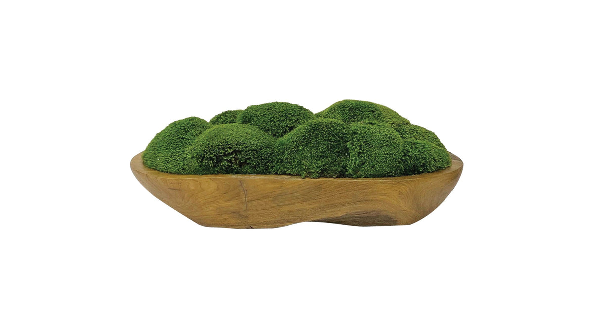 Kinsale - Moss Centerpiece - Light Brown
