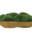 Kinsale - Moss Centerpiece - Light Brown
