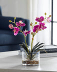 Glory Orchid - Fuchsia Orchid - Silver