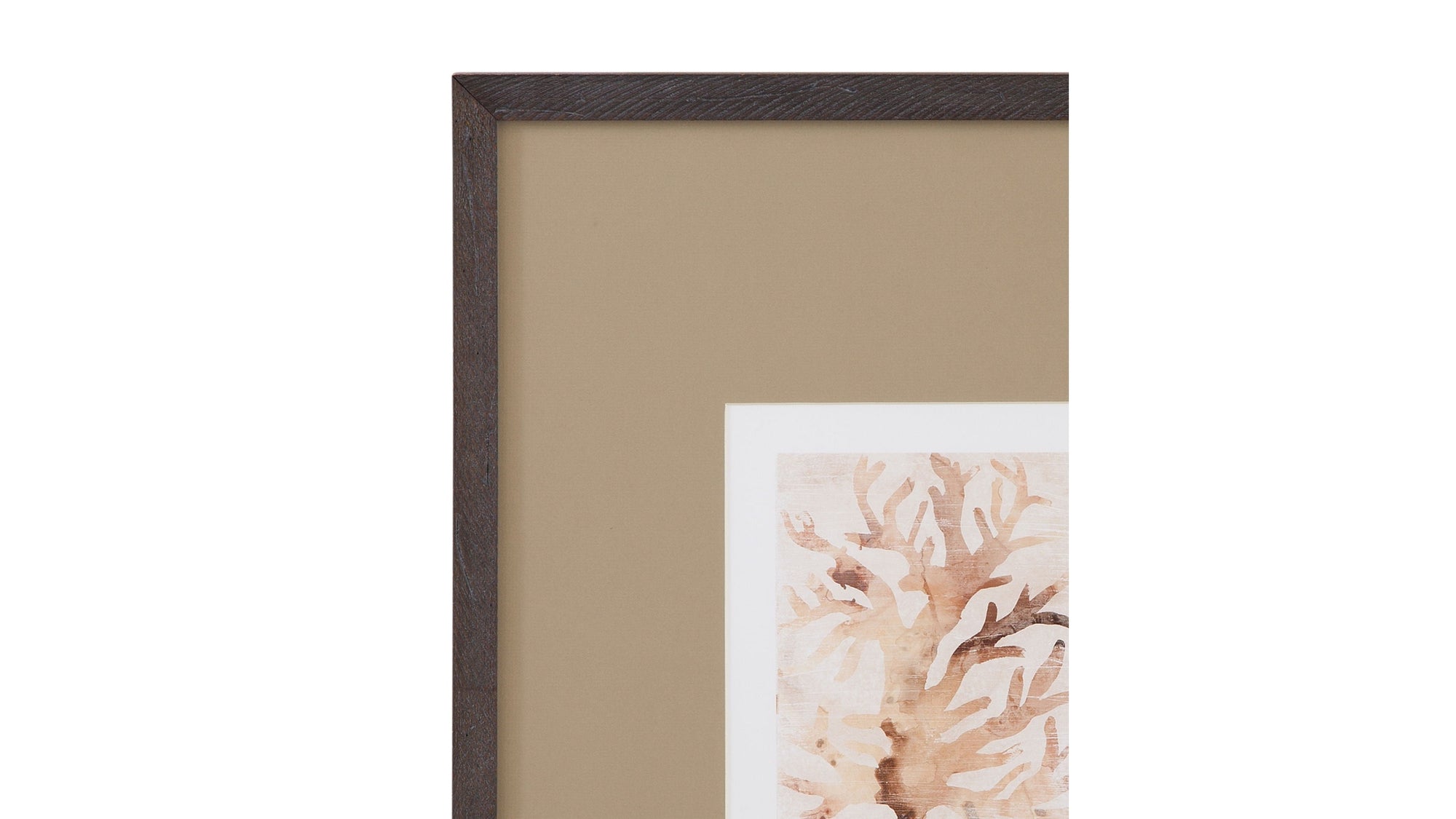 Parchment Coral III Framed Print - Brown