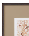 Parchment Coral III Framed Print - Brown