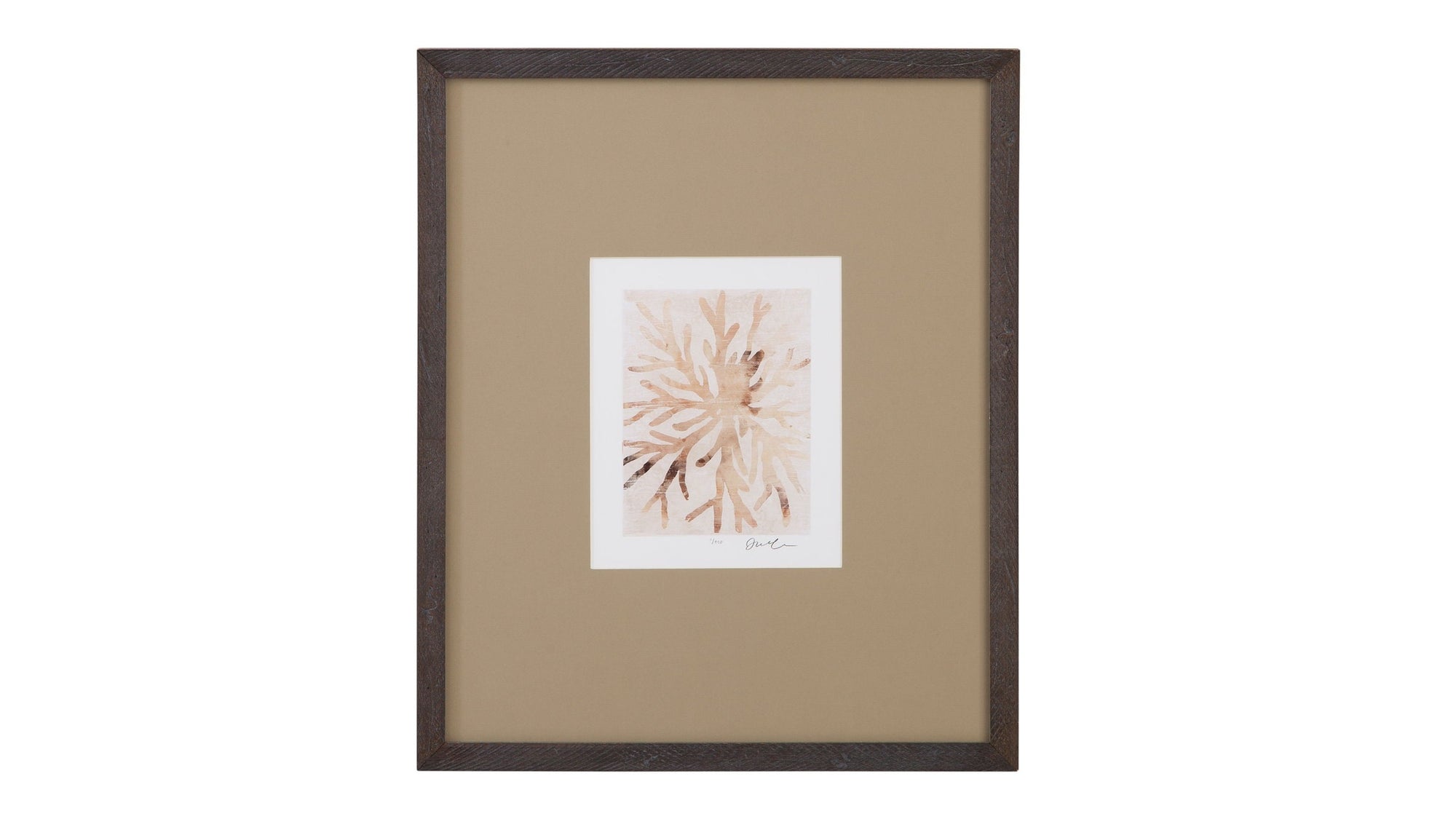 Parchment Coral II Framed Print - Brown