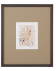Parchment Coral II Framed Print - Brown