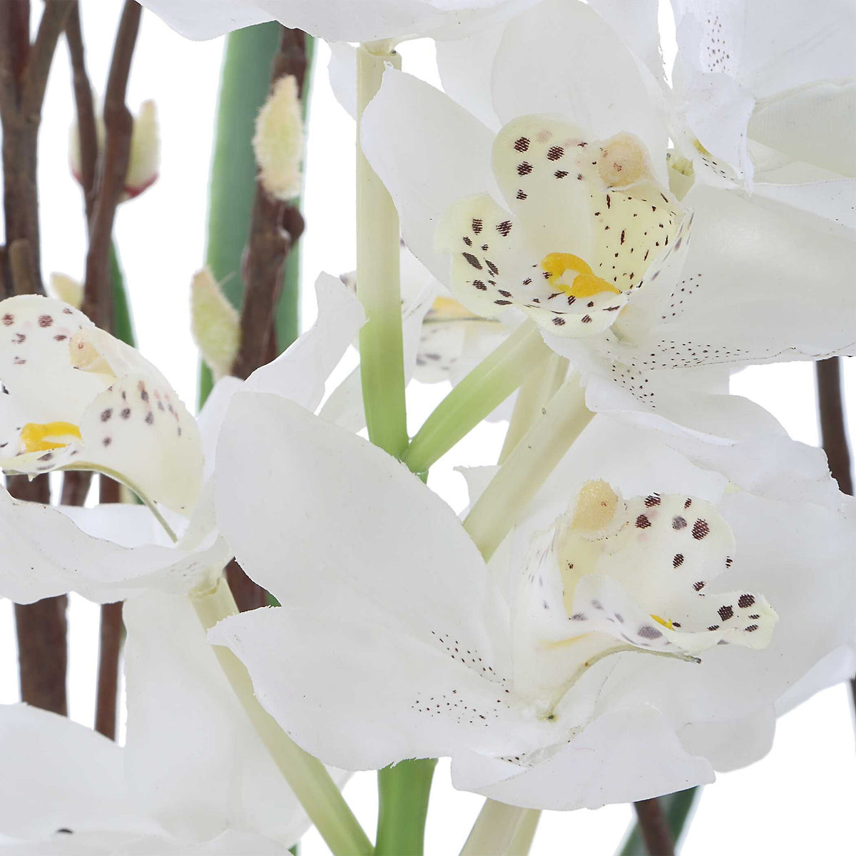 Eterna Orchid - Centerpiece &amp; Vase - Black / Green / White