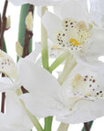 Eterna Orchid - Centerpiece & Vase - Black / Green / White
