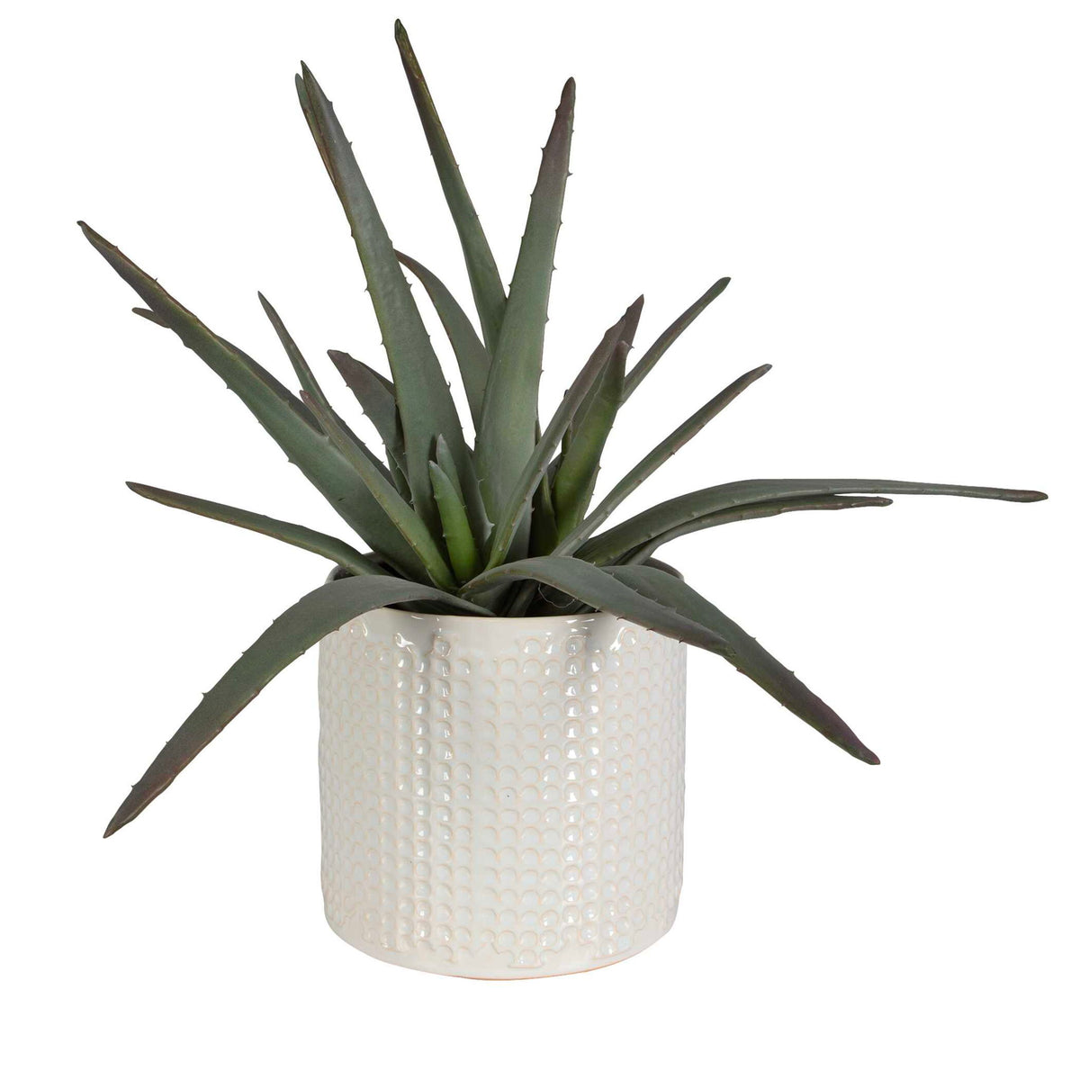 Taos - Aloe Centerpiece - Silver