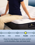 Perfect Sleeper - 10.5" Adoring Night Plush Mattress