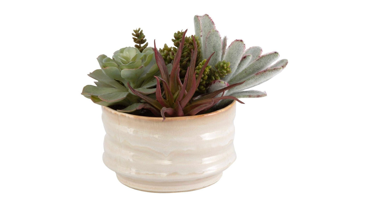 Mesa Succulent Accent - Silver