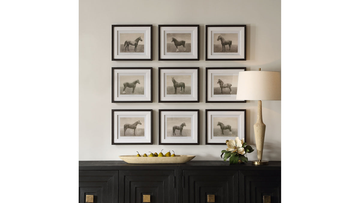 Equine Dynasty - Framed Prints (Set of 9)