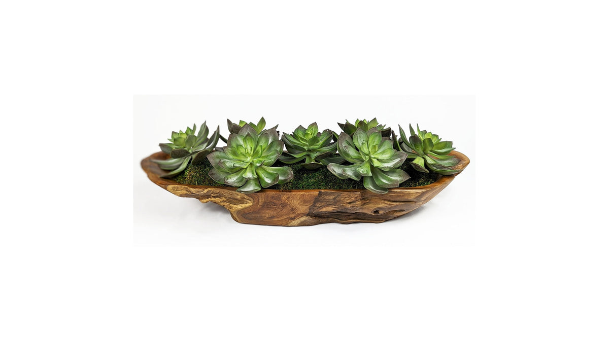 Yuma - Succulent Centerpiece - Dark Brown