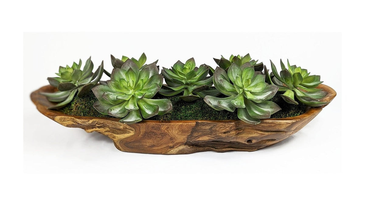 Yuma - Succulent Centerpiece - Dark Brown