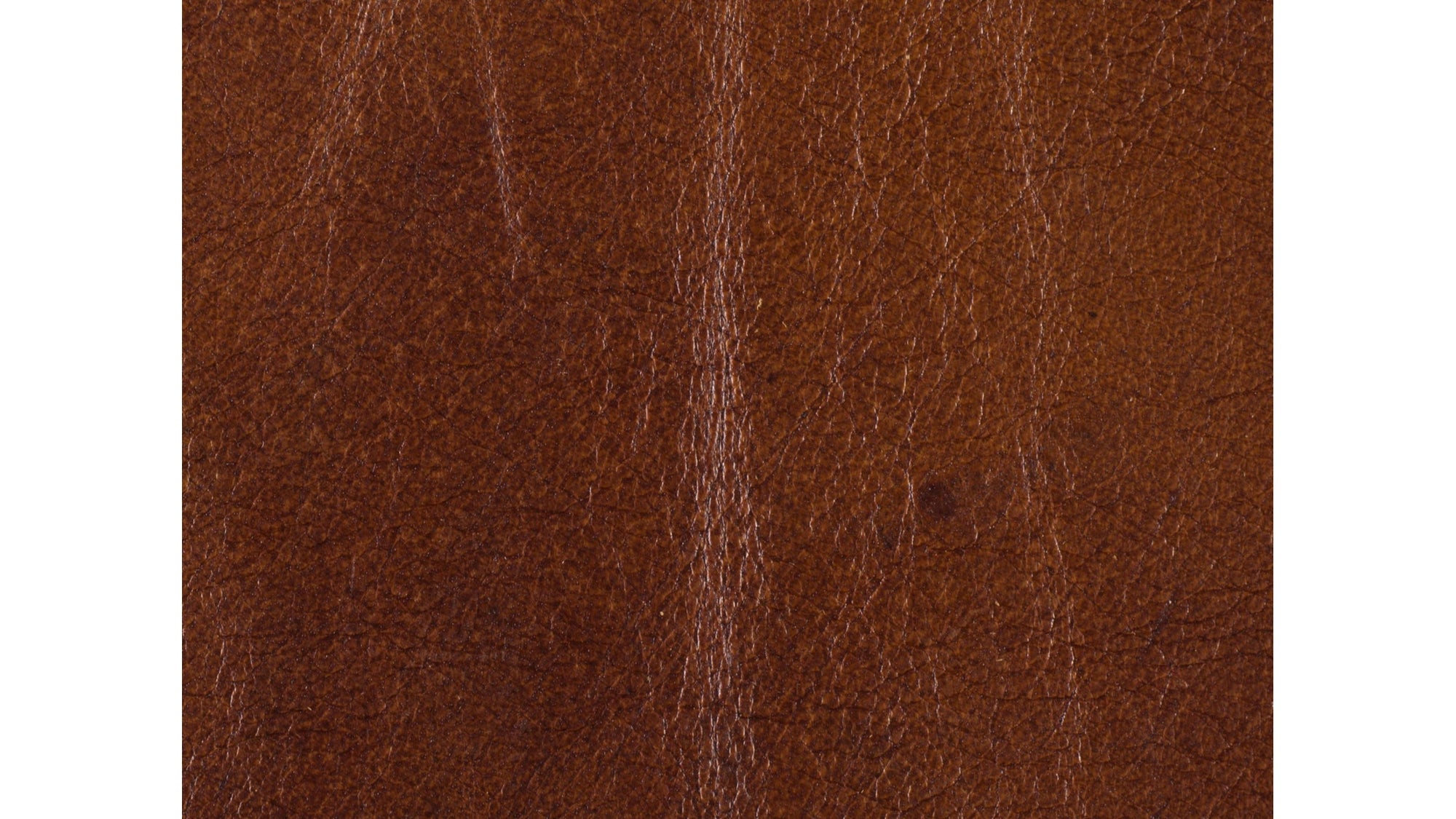 SS - Exton Stationary Sofa