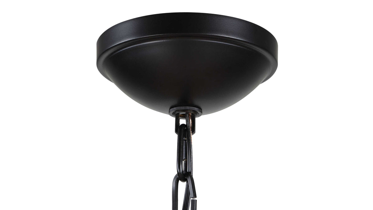 Lakeside - Indoor-Outdoor 1 Light Pendant - Black