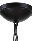 Lakeside - Indoor-Outdoor 1 Light Pendant - Black