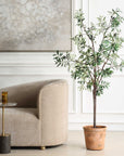 Olea - Potted Olive Tree - Green