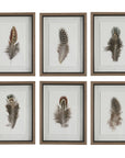 Birds Of A Feather - Framed Prints (Set of 6)