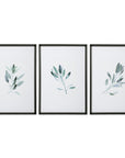 Simple Sage - Watercolor Prints (Set of 3) - White
