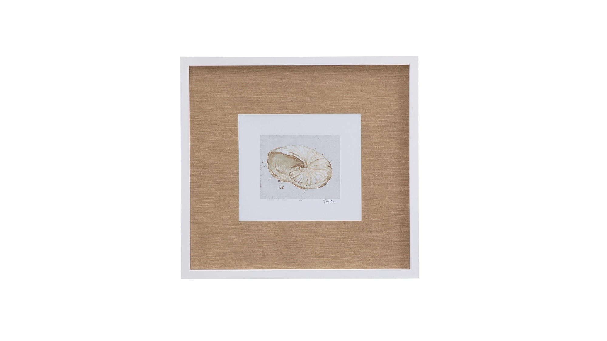 Neutral Shell Fresco I Framed Print - Light Brown / White