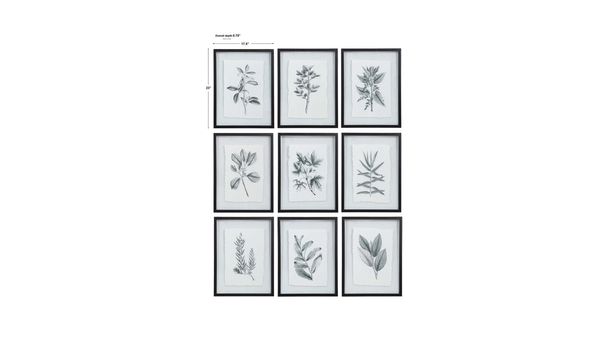 Farmhouse Florals - Framed Prints (Set of 9) - Black