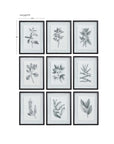 Farmhouse Florals - Framed Prints (Set of 9) - Black