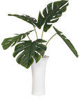 Muse - Monstera Vase Centerpiece - Green / White