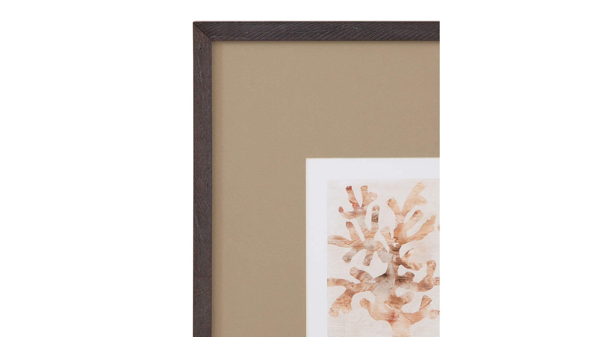 Parchment Coral I Framed Print - Brown