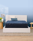 Perfect Sleeper - 13.25" Cobalt Calm Plush Mattress