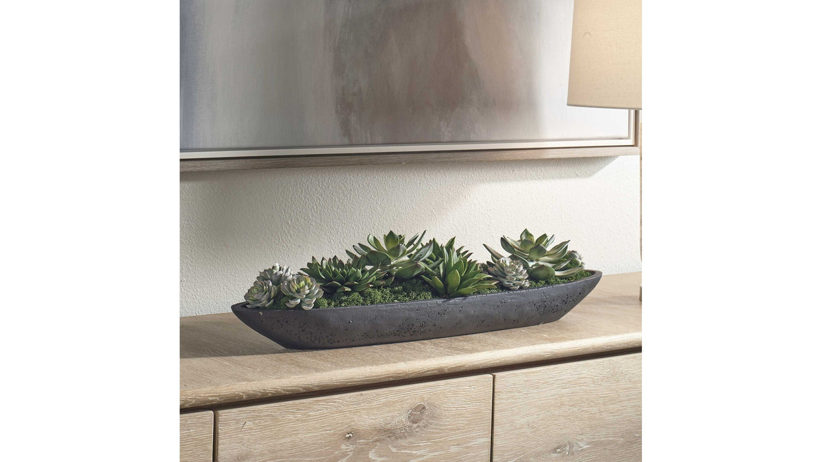 Verde - Succulent Centerpiece In Bowl - Black / Green