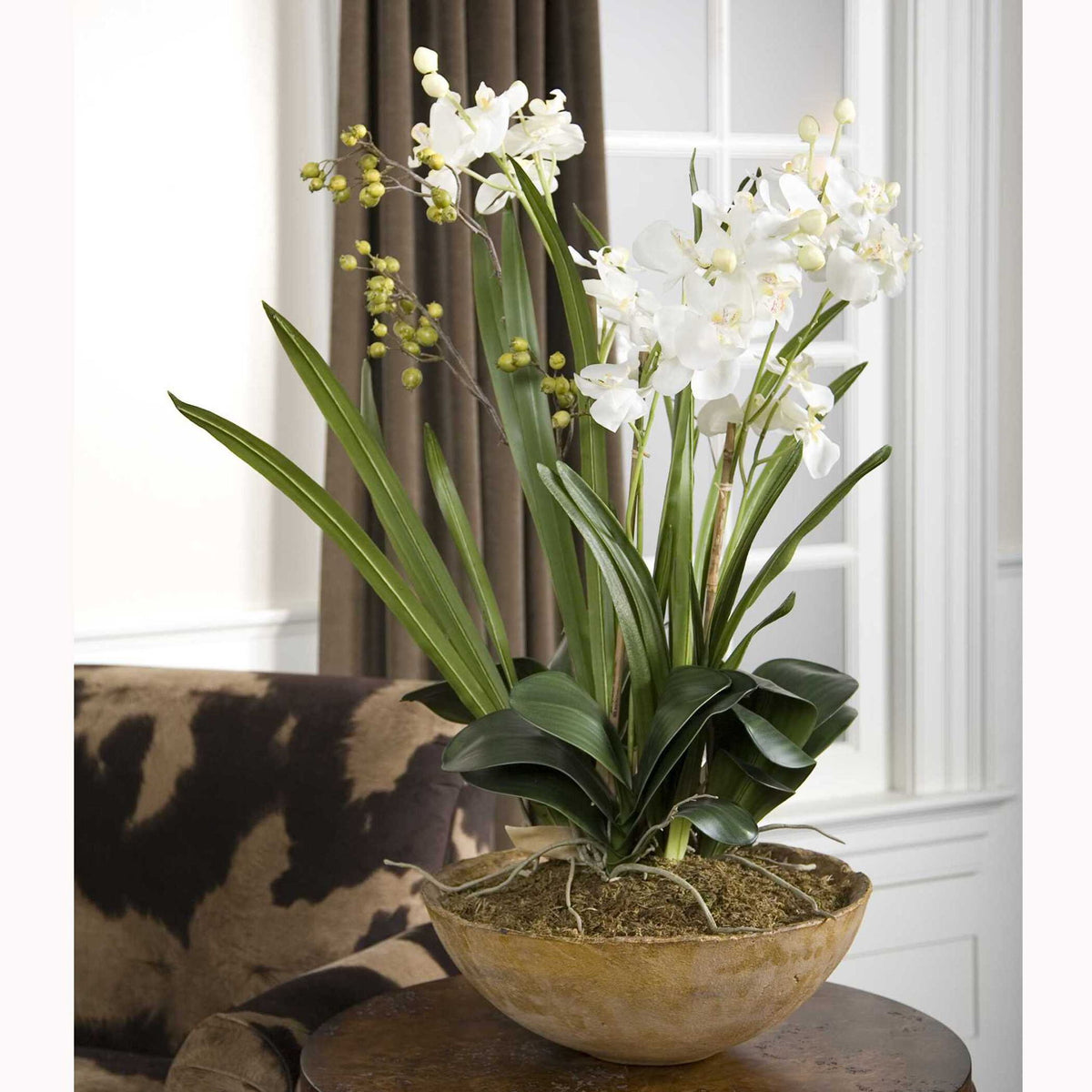 Moth Orchid - Planter - Green