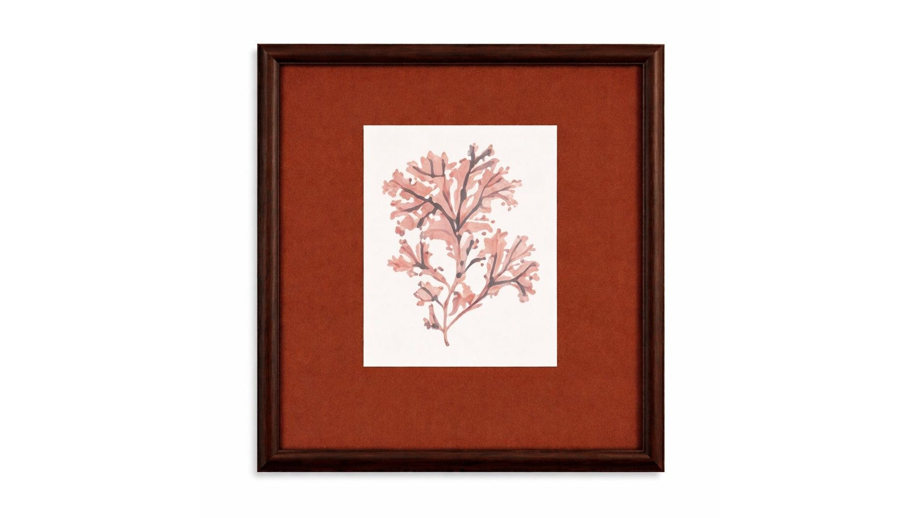 Marbled Seaweed Framed Print - Red