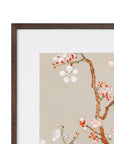 Pear Tree II Framed Print - Cream