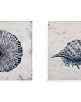 Shell I Canvas Art - Blue / Gray