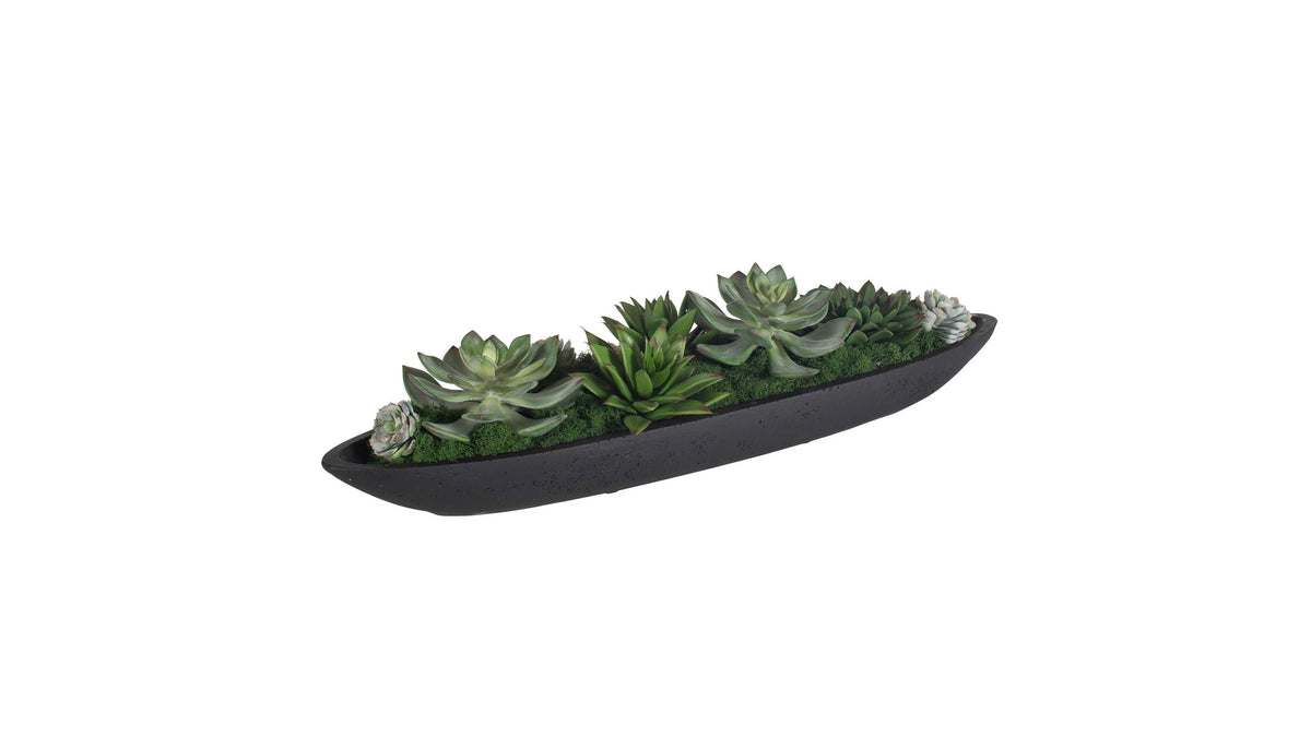Verde - Succulent Centerpiece In Bowl - Black / Green