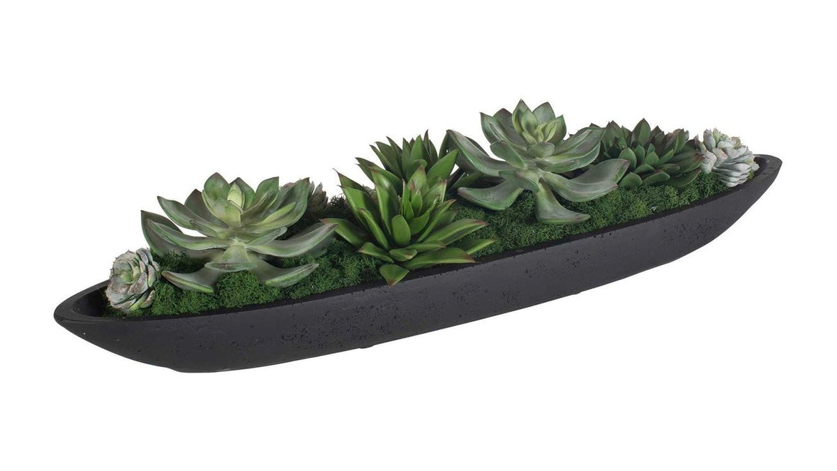 Verde - Succulent Centerpiece In Bowl - Black / Green
