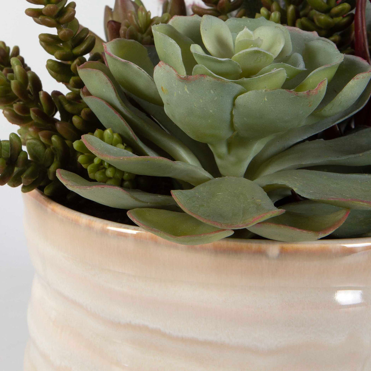 Mesa Succulent Accent - Silver